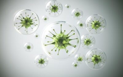 Protocolo Antiparasitario Natural: Cómo Eliminar Parásitos de Forma Efectiva