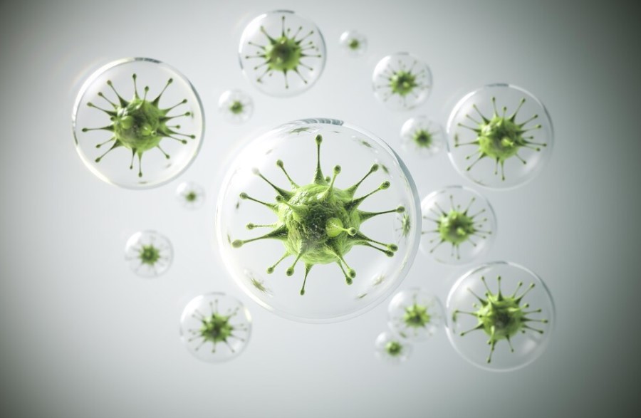 Protocolo Antiparasitario Natural: Cómo Eliminar Parásitos de Forma Efectiva
